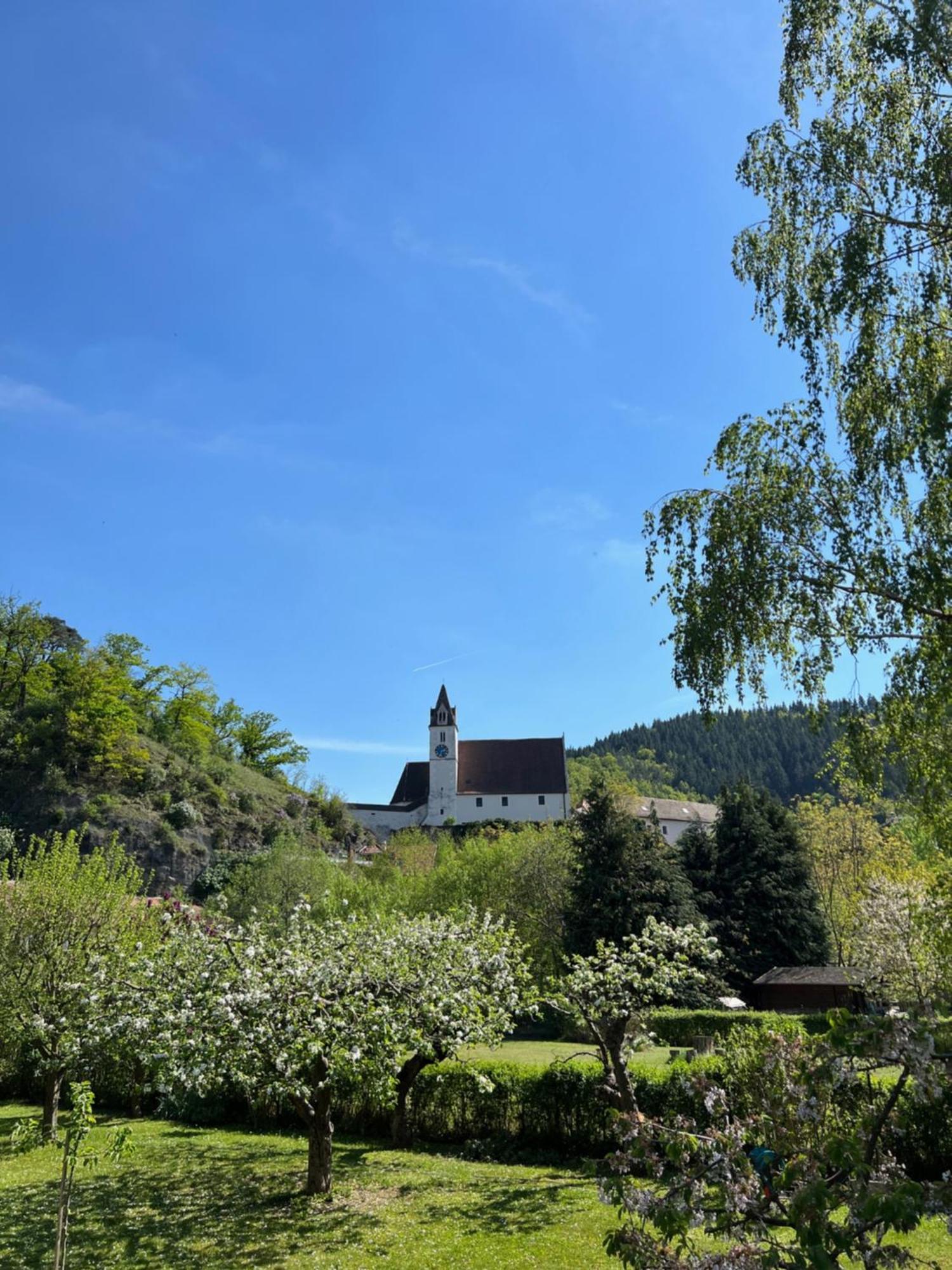 Schneeweiss Senftenberg